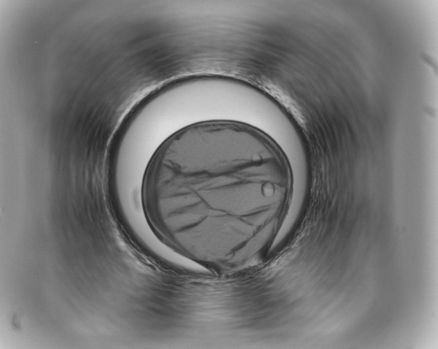 X0000097960580200804211105