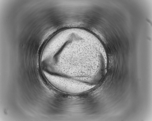X0000097960582200804211105