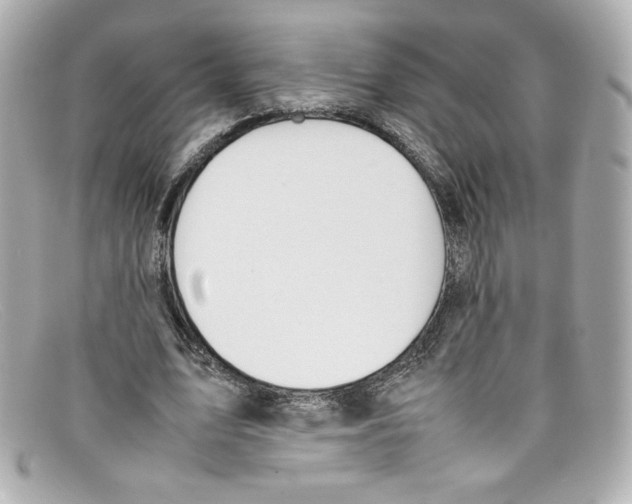 X0000097960583200804211105