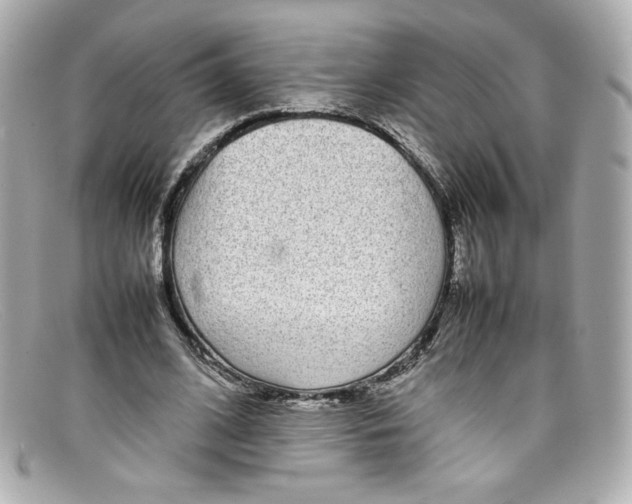 X0000097960584200804211105