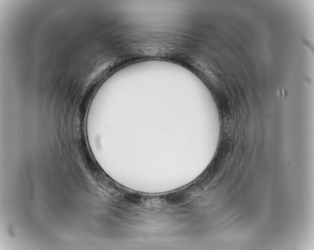 X0000097960587200804211105