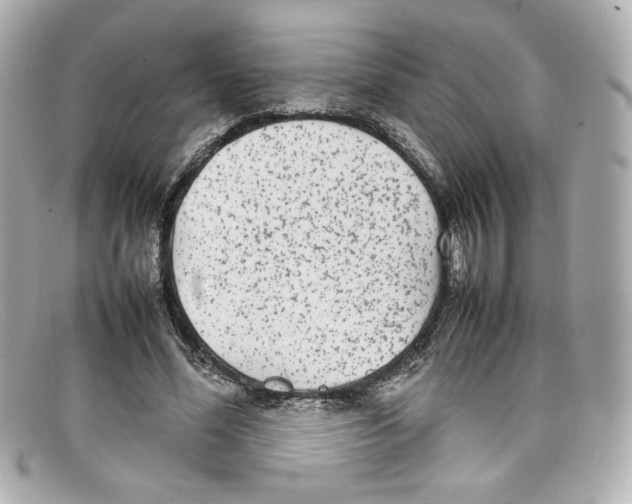 X0000097960588200804211105