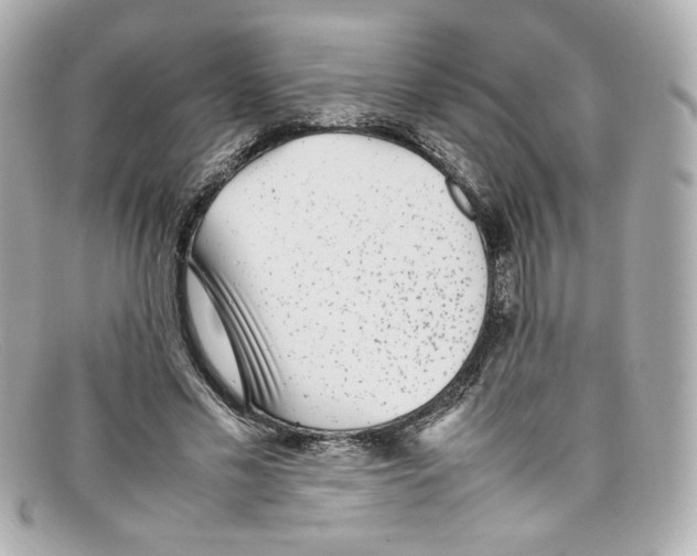 X0000097960589200804211105