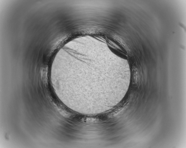 X0000097960590200804211105