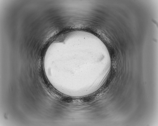 X0000097960591200804211105