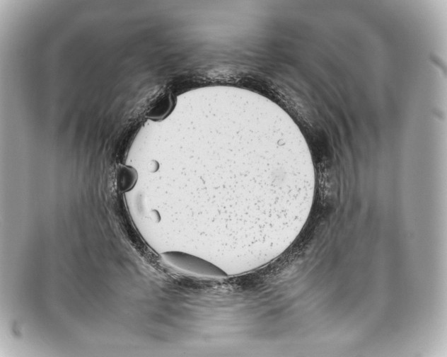 X0000097960593200804211105