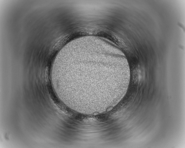 X0000097960594200804211105