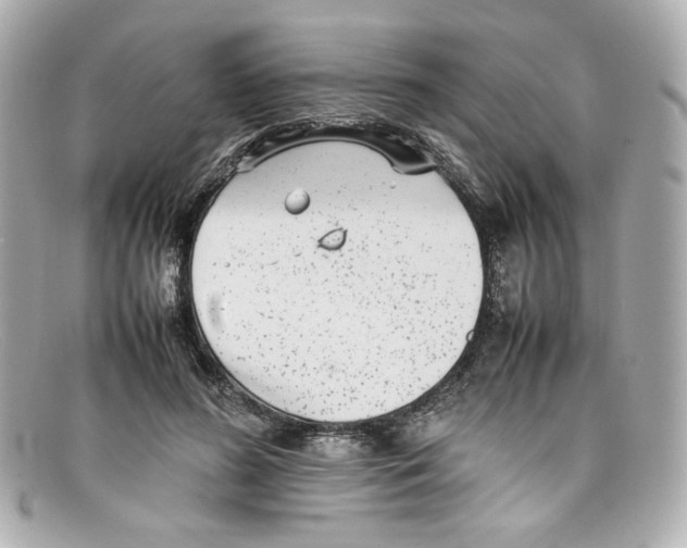 X0000097960596200804211105