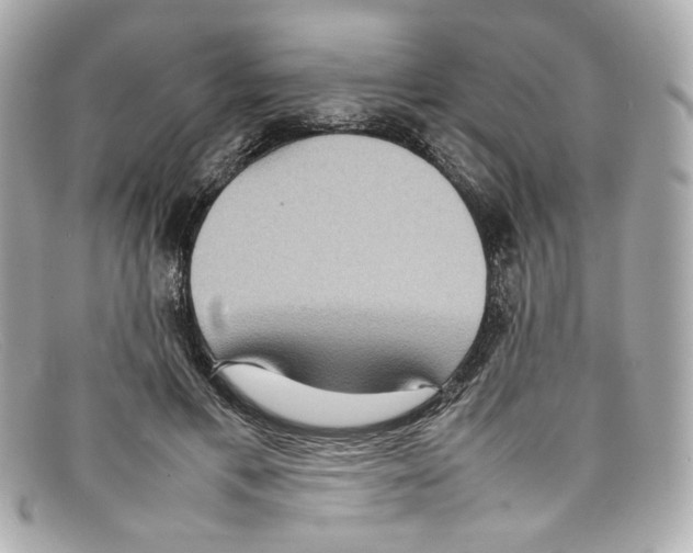 X0000097960597200804211105