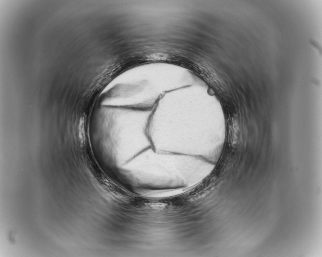 X0000097960598200804211105