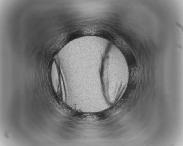 X0000097960601200804211105