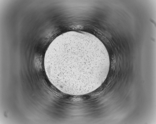X0000097960604200804211104