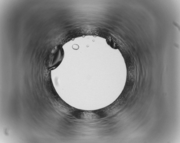 X0000097960605200804211104