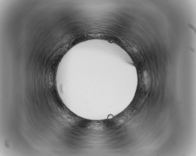 X0000097960606200804211104