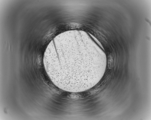 X0000097960608200804211104