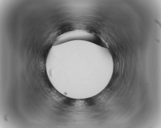 X0000097960609200804211104