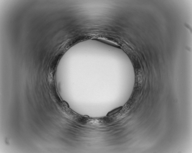 X0000097960611200804211104