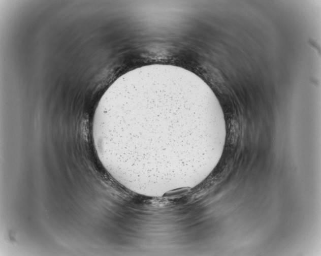 X0000097960612200804211104