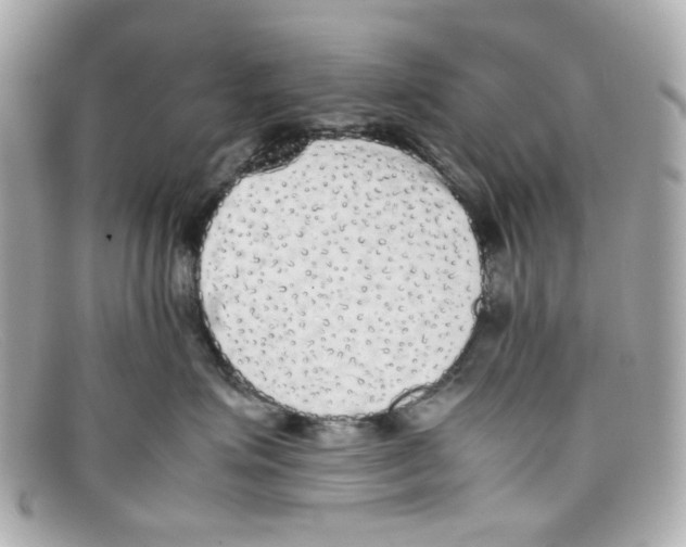 X0000097960623200804211104