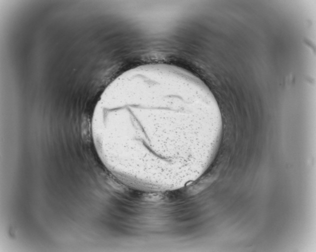 X0000097960624200804211104