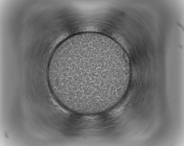 X0000097960625200804211103