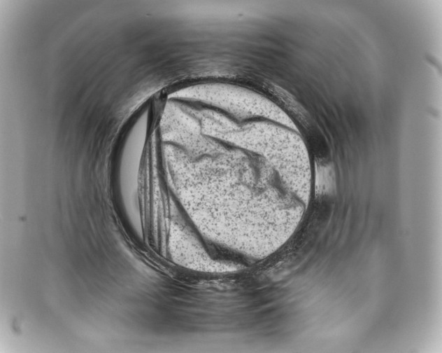 X0000097960627200804211103