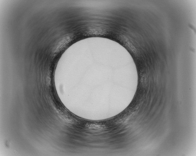 X0000097960635200804211103