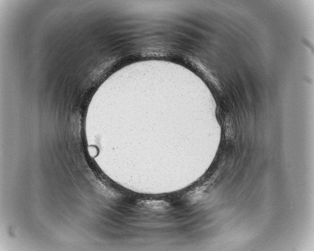 X0000097960637200804211103
