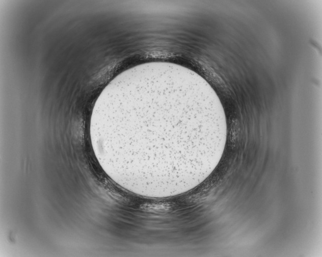 X0000097960639200804211103