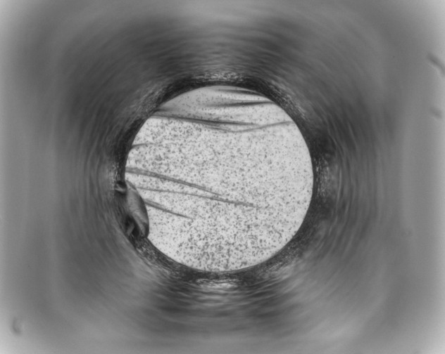 X0000097960643200804211103