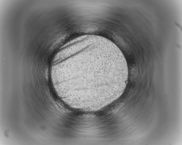 X0000097960644200804211103