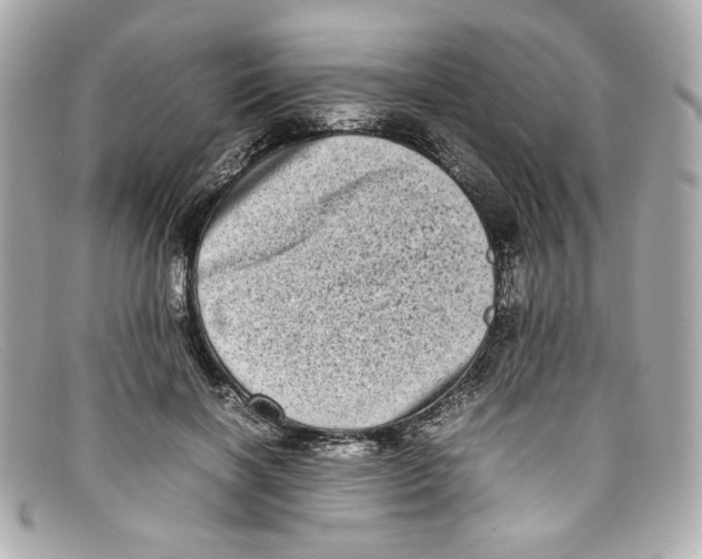 X0000097960646200804211103