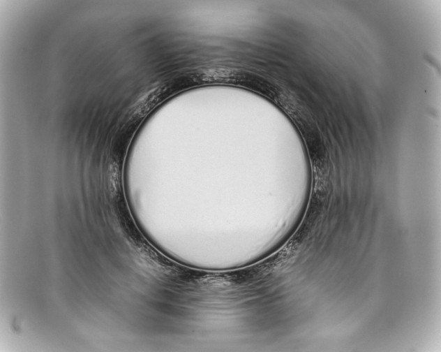 X0000097960648200804211104