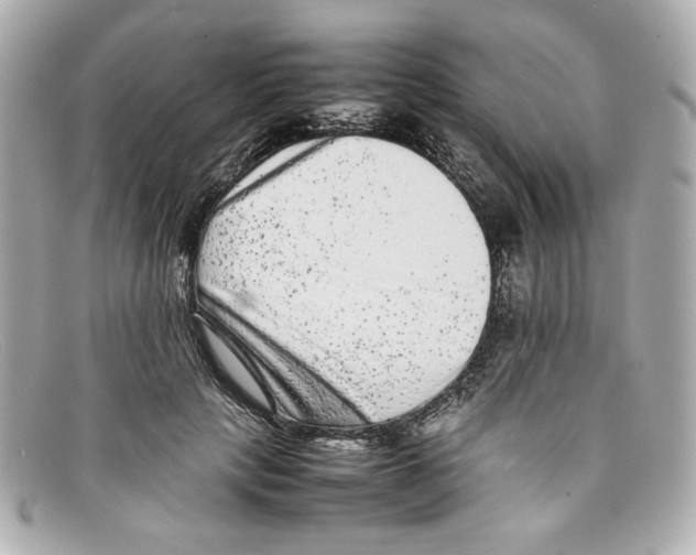 X0000097960649200804211104