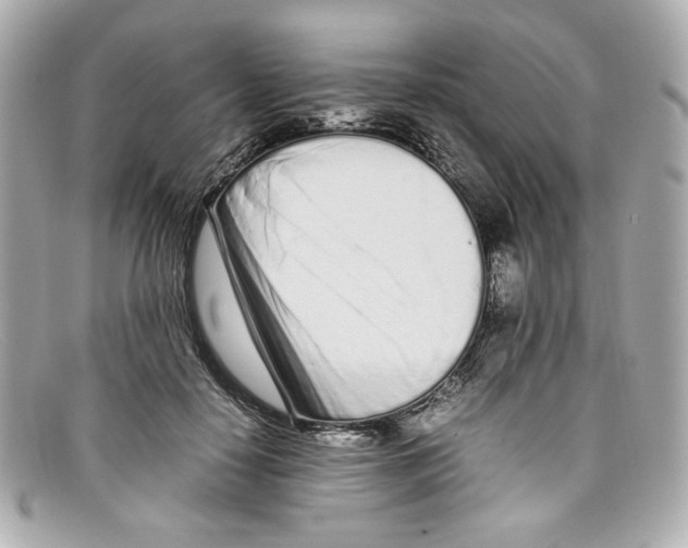 X0000097960650200804211104