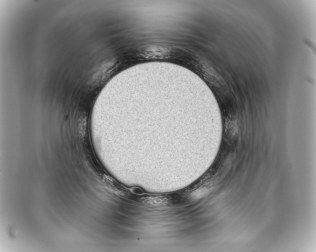 X0000097960652200804211104
