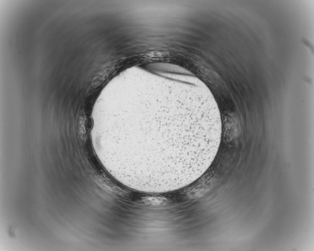 X0000097960654200804211104
