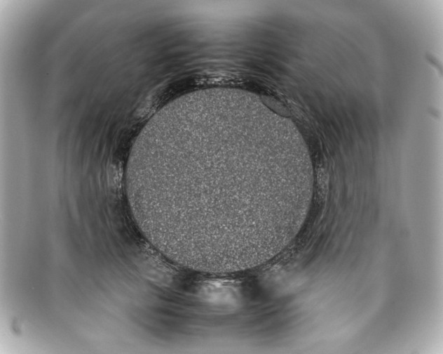 X0000097960657200804211104