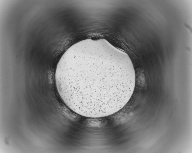 X0000097960658200804211104