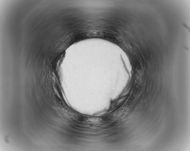 X0000097960659200804211104