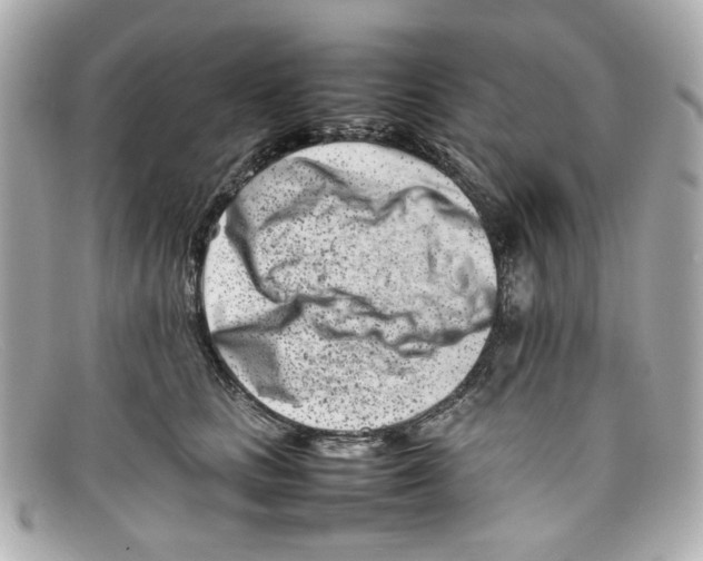 X0000097960661200804211104