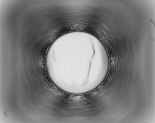 X0000097960663200804211104