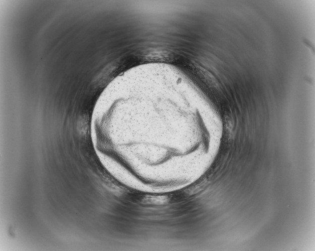 X0000097960665200804211104