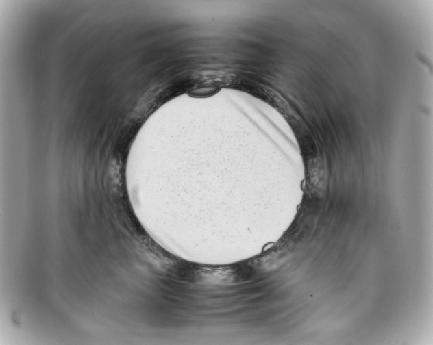 X0000097960667200804211104