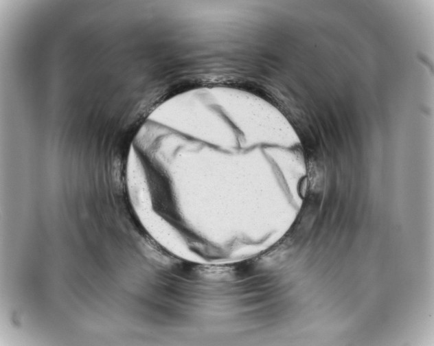 X0000097960670200804211104