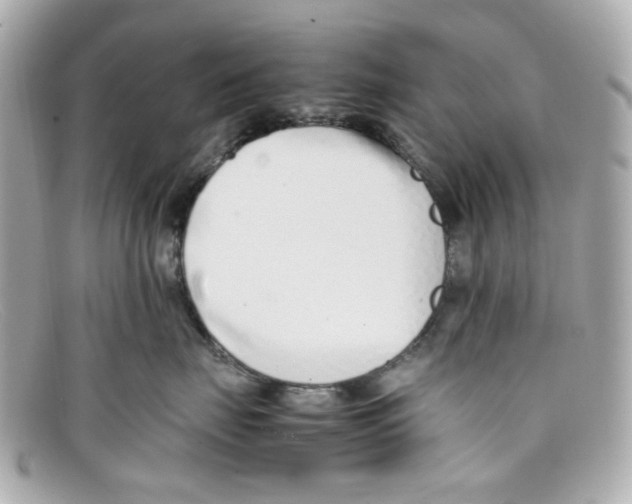 X0000097960671200804211104