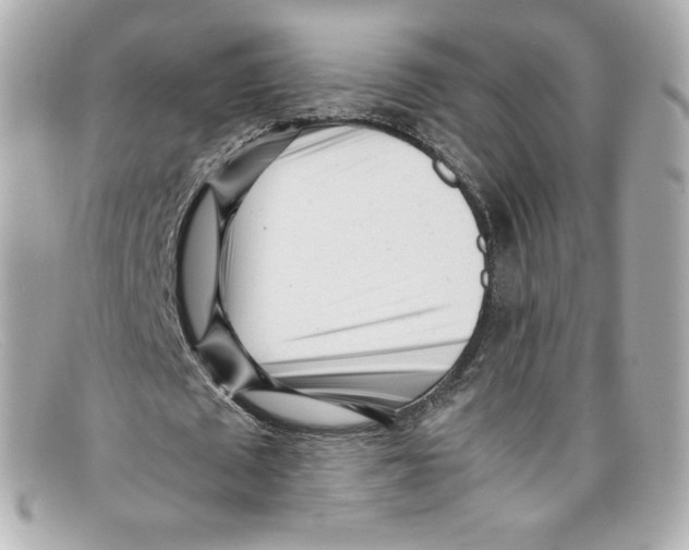 X0000097960673200804211103