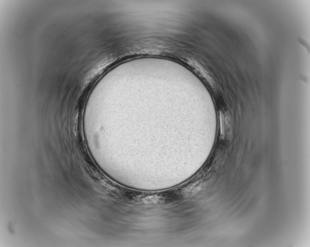 X0000097960675200804211103