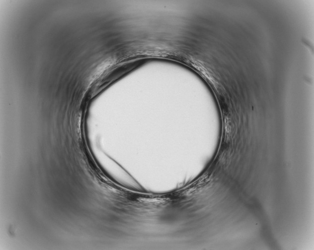 X0000097960679200804211103