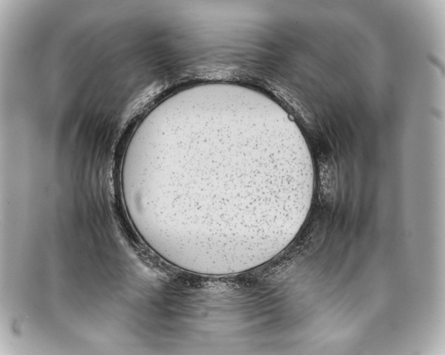 X0000097960682200804211103